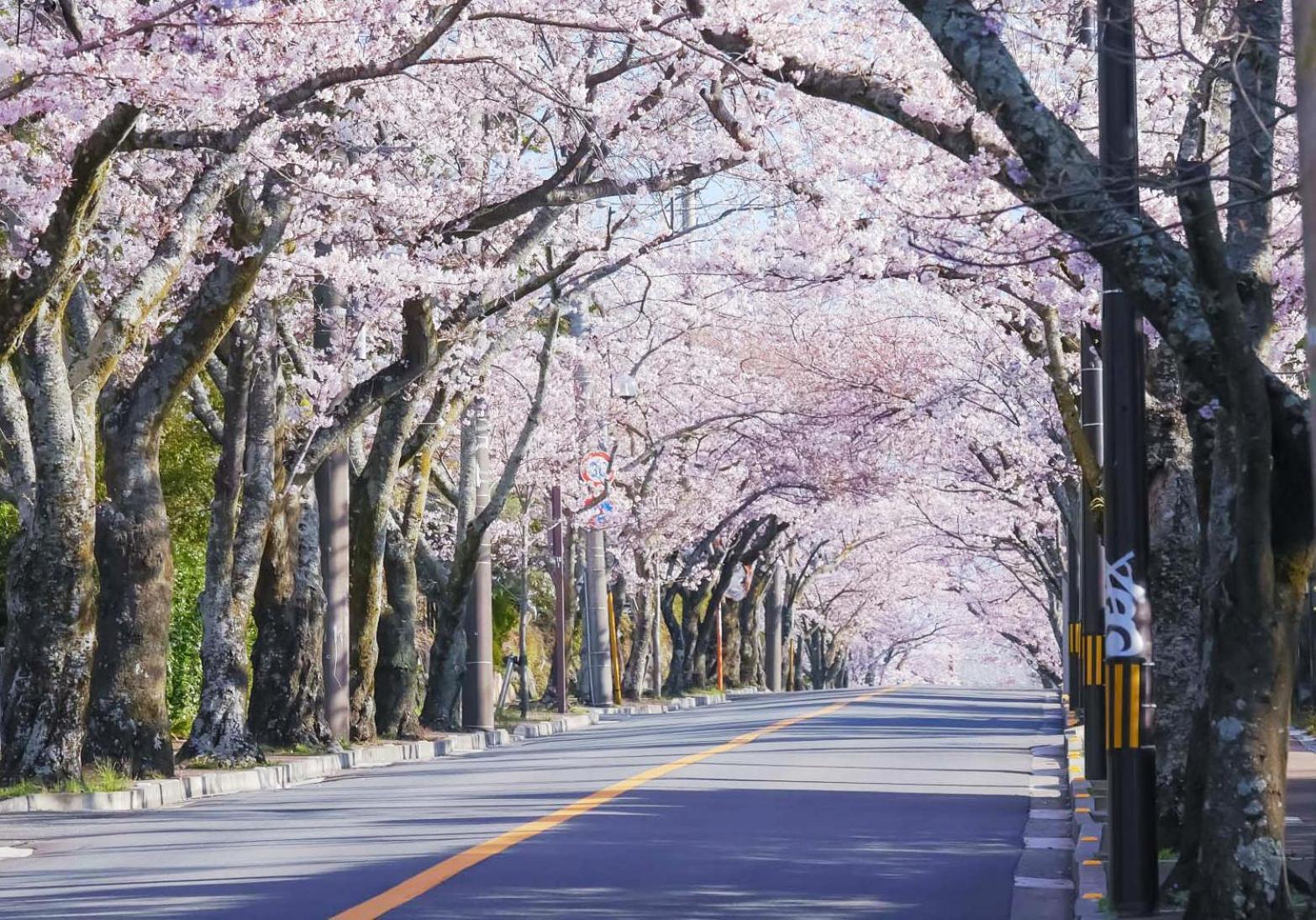 伊豆高原テラス-寛道- Ito (Shizuoka)