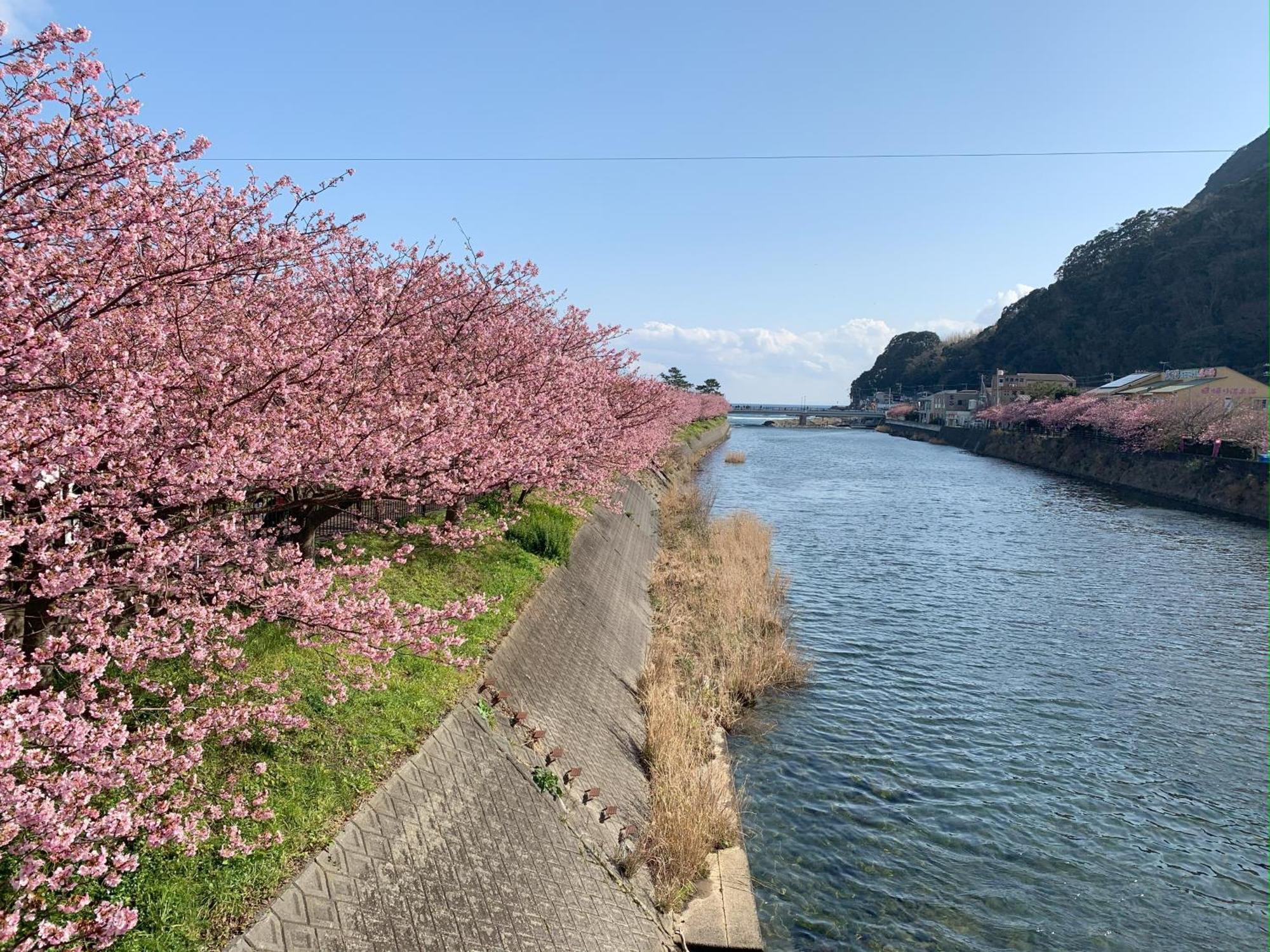 伊豆高原テラス-寛道- * Ito (Shizuoka)